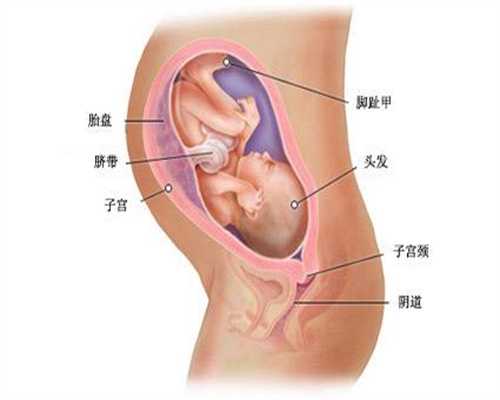 广州2020年代孕孩子_怀孕了突然尿频是怎么回事