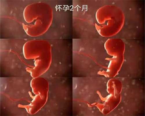 广州代孕一般多少钱_怀孕多久能有胎动