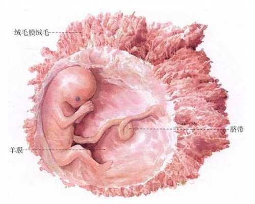 广州代孕网正规_怀孕有什么症状和反应