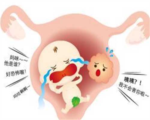 广州代孕最新政策_孕妇两周可以饿肚子吗