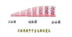 广州代孕协议`广州代孕医院的价位`怀孕有脚气怎么办