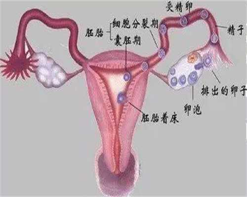 助孕网：怀孕后尿频该怎么办