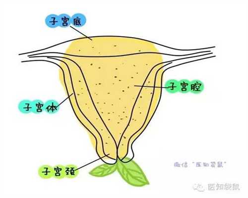 广州口碑好助孕包性别：广州靠谱代孕中心_广州合法代孕机构