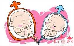 YOGO代孕网：胎心过高对胎儿的影响