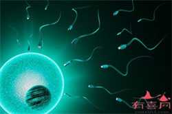 广州专业的助孕价格表：广州代孕龙凤胎多少钱_广州代孕网的流程