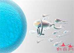 广州医院代孕：广州传承助孕_广州代孕代怀孕中介